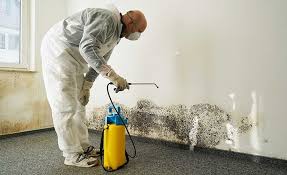 Best Asbestos and Lead Testing During Mold Inspection  in Sun Valley, PA