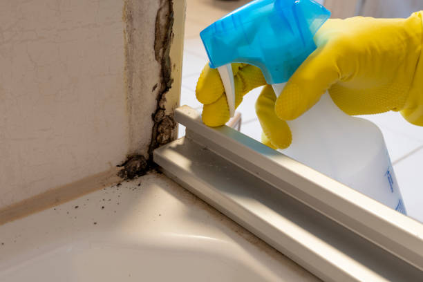 Best Industrial Mold Remediation  in Sun Valley, PA